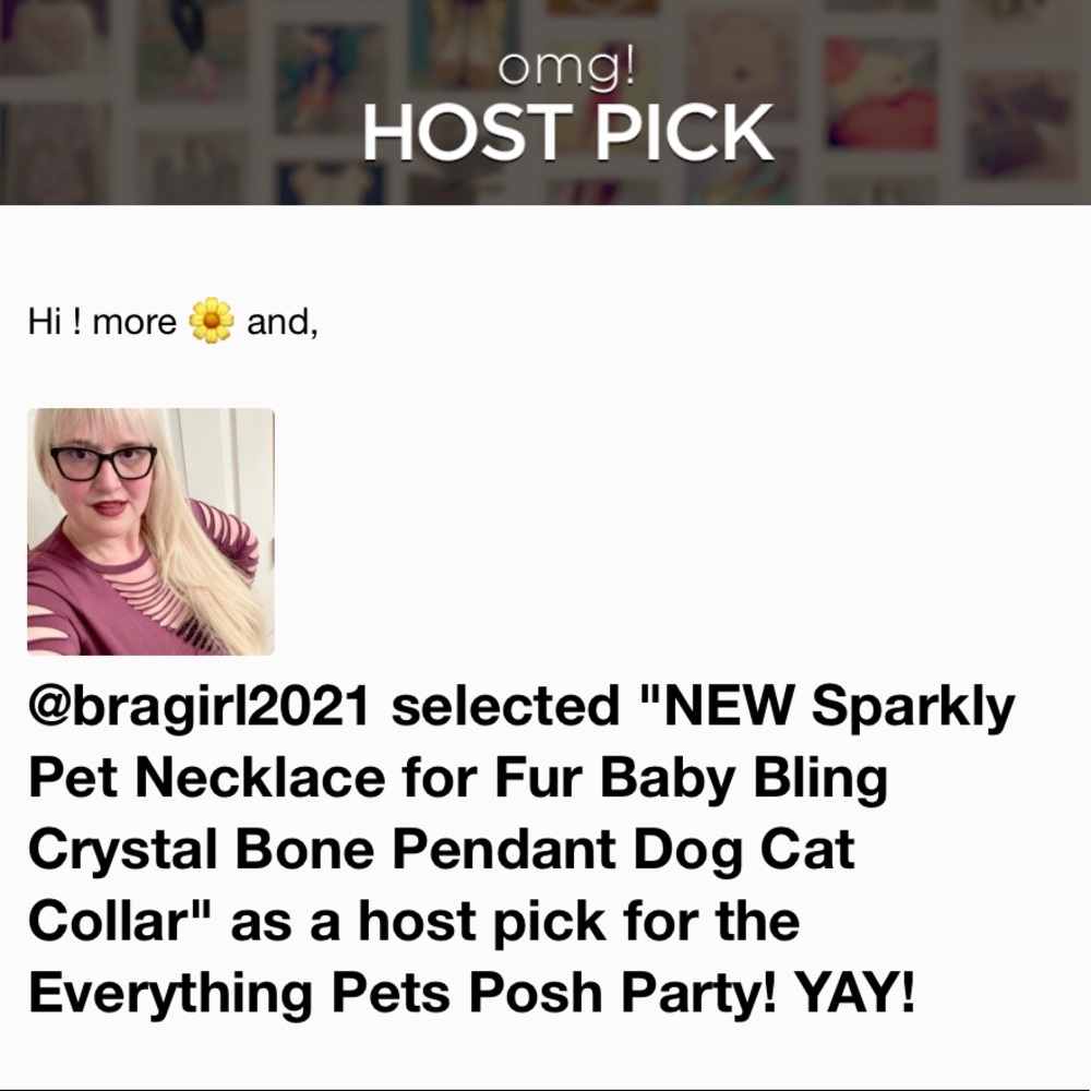 Sparkly Pet Necklace for Fur Baby - Picture 2 of 8